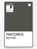 Artikelbild 1 des Artikels “PANTONE® PLASTIC STANDARD CHIP PQ 418C “
