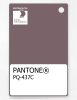 Artikelbild 1 des Artikels “PANTONE® PLASTIC STANDARD CHIP PQ 437C “