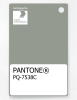 Artikelbild 1 des Artikels “PANTONE® PLASTIC STANDARD CHIP PQ 7538C “