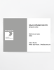 Artikelbild 1 des Artikels “RAL® CLASSIC 840-HR SINGLE CARD 9006 White aluminium / Weißaluminium “