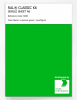 Artikelbild 1 des Artikels “RAL® CLASSIC K6 SHEET SEMI MATT A6 6038 Luminous green  / Leuchtgrün “