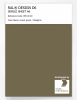 Product image 1 of the product “RAL® DESIGN D6 SINGLE SHEET A6 095 40 20 Forest green / Waldgrün ”