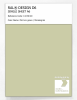 Artikelbild 1 des Artikels “RAL® DESIGN D6 SINGLE SHEET A6 110 80 20 Mint ice green / Minzeisgrün “