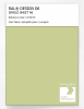 Product image 1 of the product “RAL® DESIGN D6 SINGLE SHEET A6 110 80 30 Springtide green / Lenzgrün ”