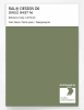 Product image 1 of the product “RAL® DESIGN D6 SINGLE SHEET A6 120 50 20 Parrot green / Papageiengrün ”