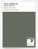 Product image 1 of the product “RAL® DESIGN D6 SINGLE SHEET A6 130 40 10 Soft olive / Sanftoliv ”