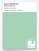 Product image 1 of the product “RAL® DESIGN D6 SINGLE SHEET A6 160 80 20 Feather green / Federngrün ”