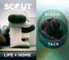 Artikelbild 1 des Artikels “Scout Life A/W 2025/2026 “