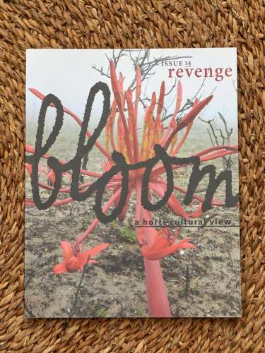 Artikelbild des Artikels “Bloom no. 14 - Revenge -  “