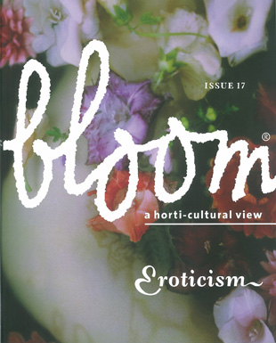 Artikelbild des Artikels “Bloom no. 17  “