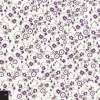 Artikelbild 2 des Artikels “Color & Byte Petite Flowers incl. DVD “