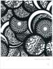 Artikelbild 2 des Artikels “Ethno Pop Textures - Black Edition incl. DVD “