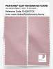 Product image 2 of the product “PANTONE® COTTON SWATCH CARD 13-2007 TCX Barely There ”