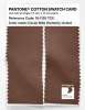 Artikelbild 2 des Artikels “PANTONE® COTTON SWATCH CARD 18-1130 TCX Aztec “