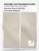Product image 2 of the product “PANTONE® COTTON SWATCH CARD 11-0104 TCX Vanilla Ice ”