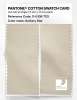 Artikelbild 2 des Artikels “PANTONE® COTTON SWATCH CARD 11-0108 TCX Solitary Star “