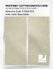 Artikelbild 2 des Artikels “PANTONE® COTTON SWATCH CARD 11-0205 TCX Glass Green “