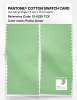 Product image 2 of the product “PANTONE® COTTON SWATCH CARD 12-0225 TCX Patina Green ”