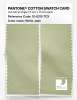 Product image 2 of the product “PANTONE® COTTON SWATCH CARD 12-0315 TCX White Jade ”