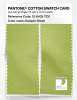 Product image 2 of the product “PANTONE® COTTON SWATCH CARD 12-0435 TCX Daiquiri Green ”