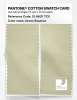 Product image 2 of the product “PANTONE® COTTON SWATCH CARD 12-0607 TCX Green Essence ”