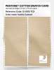 Product image 2 of the product “PANTONE® COTTON SWATCH CARD 12-0815 TCX Vanilla Custard ”