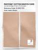 Product image 2 of the product “PANTONE® COTTON SWATCH CARD 12-0913 TCX Alesan ”