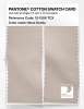 Artikelbild 2 des Artikels “PANTONE® COTTON SWATCH CARD 12-1306 TCX Nova Scotia “