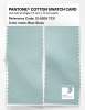 Artikelbild 2 des Artikels “PANTONE® COTTON SWATCH CARD 12-5206 TCX Blue Glass “