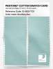 Artikelbild 2 des Artikels “PANTONE® COTTON SWATCH CARD 12-5209 TCX Soothing Sea “