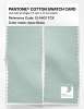 Product image 2 of the product “PANTONE® COTTON SWATCH CARD 12-5407 TCX Aqua Glass ”