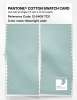 Artikelbild 2 des Artikels “PANTONE® COTTON SWATCH CARD 12-5408 TCX Moonlight Jade “