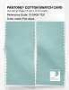 Product image 2 of the product “PANTONE® COTTON SWATCH CARD 12-5409 TCX Fair Aqua ”