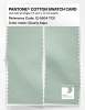 Product image 2 of the product “PANTONE® COTTON SWATCH CARD 12-5504 TCX Clearly Aqua ”