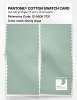 Product image 2 of the product “PANTONE® COTTON SWATCH CARD 12-5506 TCX Dusty Aqua ”