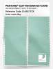 Product image 2 of the product “PANTONE® COTTON SWATCH CARD 12-5507 TCX Bay ”