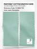 Product image 2 of the product “PANTONE® COTTON SWATCH CARD 12-5808 TCX Honeydew ”