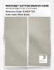 Product image 2 of the product “PANTONE® COTTON SWATCH CARD 12-6204 TCX Silver Green ”