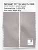Artikelbild 2 des Artikels “PANTONE® COTTON SWATCH CARD 13-0005 TCX Temple Gray “