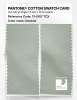 Product image 2 of the product “PANTONE® COTTON SWATCH CARD 13-0107 TCX Dewkist ”