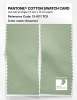 Product image 2 of the product “PANTONE® COTTON SWATCH CARD 13-0111 TCX Seacrest ”