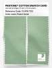 Product image 2 of the product “PANTONE® COTTON SWATCH CARD 13-0116 TCX Pastel Green ”