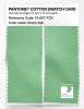 Product image 2 of the product “PANTONE® COTTON SWATCH CARD 13-0117 TCX Green Ash ”