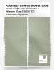Product image 2 of the product “PANTONE® COTTON SWATCH CARD 13-0210 TCX Fog Green ”