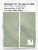 Product image 2 of the product “PANTONE® COTTON SWATCH CARD 13-0212 TCX Tender Greens ”