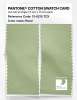 Product image 2 of the product “PANTONE® COTTON SWATCH CARD 13-0215 TCX Reed ”