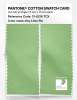 Artikelbild 2 des Artikels “PANTONE® COTTON SWATCH CARD 13-0216 TCX Key Lime Pie “