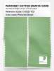 Artikelbild 2 des Artikels “PANTONE® COTTON SWATCH CARD 13-0221 TCX Pistachio Green “