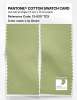 Product image 2 of the product “PANTONE® COTTON SWATCH CARD 13-0317 TCX Lily Green ”