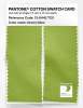 Product image 2 of the product “PANTONE® COTTON SWATCH CARD 13-0442 TCX Green Glow ”
